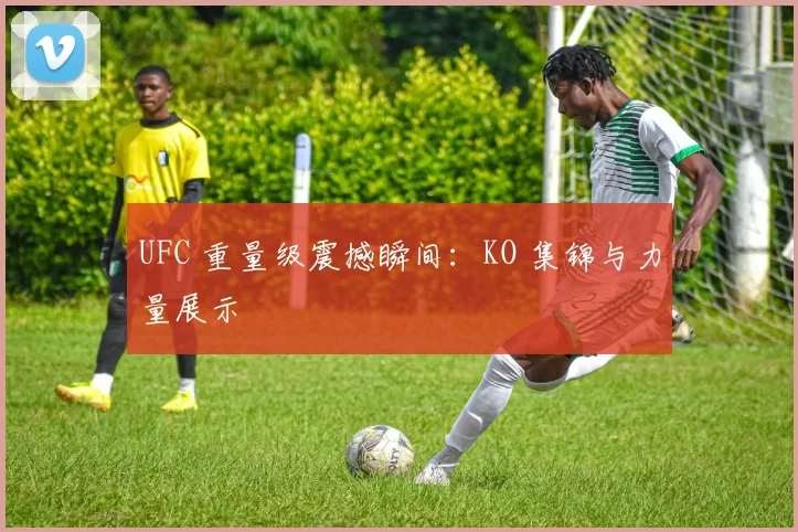 UFC 重量级震撼瞬间:KO 集锦与力量展示