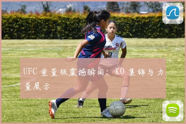UFC 重量级震撼瞬间:KO 集锦与力量展示