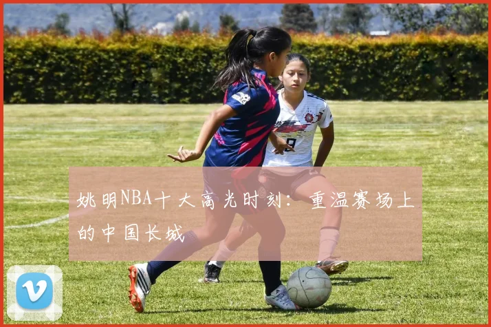 姚明NBA十大高光时刻：重温赛场上的中国长城